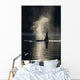 An Orca Whale Exhales As It Surfaces In Alaska's Inside Passage Wall Mural