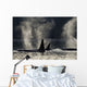 Composite Wall Mural