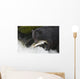 A Black Bear Catches A Pink Salmon Along A Stream Wall Mural