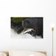 A Black Bear Catches A Pink Salmon Along A Stream Wall Mural