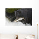 A Black Bear Catches A Pink Salmon Along A Stream Wall Mural
