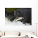 A Black Bear Catches A Pink Salmon Along A Stream Wall Mural