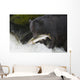 A Black Bear Catches A Pink Salmon Along A Stream Wall Mural