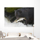A Black Bear Catches A Pink Salmon Along A Stream Wall Mural