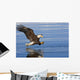 Bald Eagle Prepares To Grab Fish Inside Passage Se Ak Summer Wall Mural