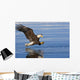 Bald Eagle Prepares To Grab Fish Inside Passage Se Ak Summer Wall Mural