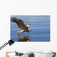 Bald Eagle Prepares To Grab Fish Inside Passage Se Ak Summer Wall Mural