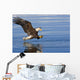 Bald Eagle Prepares To Grab Fish Inside Passage Se Ak Summer Wall Mural