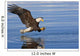 Bald Eagle Prepares To Grab Fish Inside Passage Se Ak Summer Wall Mural