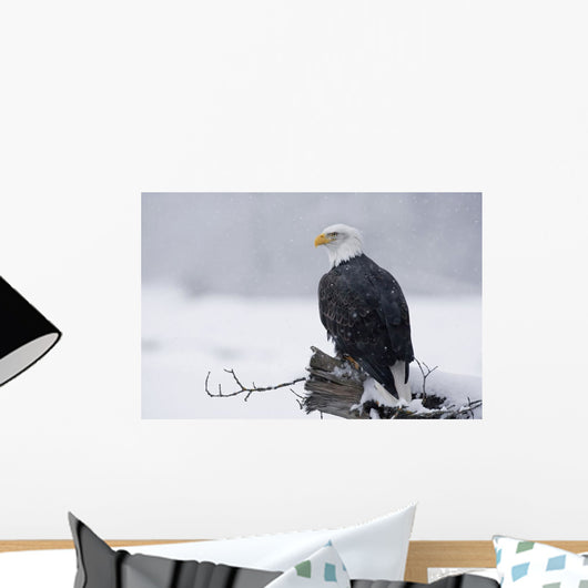 Bald Eagle Perched On Log During Snow Storm Chilkat River Wall Mural