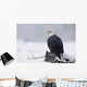 Bald Eagle Perched On Log During Snow Storm Chilkat River Wall Mural
