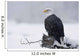 Bald Eagle Perched On Log During Snow Storm Chilkat River Wall Mural