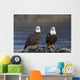 Bald Eagles Perched Wall Mural