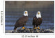 Bald Eagles Perched Wall Mural