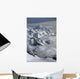 Fairweather Mountain Range Glacier Bay Np Se Ak Wall Mural