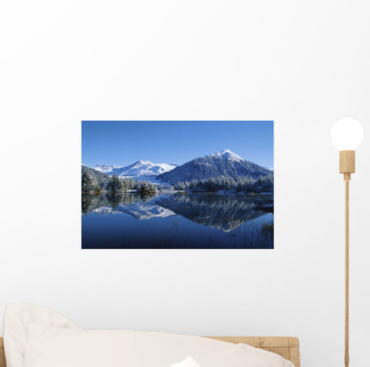 Dredge Lakes Mendenhall Valley Winter Southeast Alaska Wall Mural