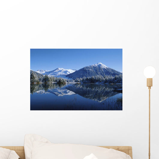 Dredge Lakes Mendenhall Valley Winter Southeast Alaska Wall Mural