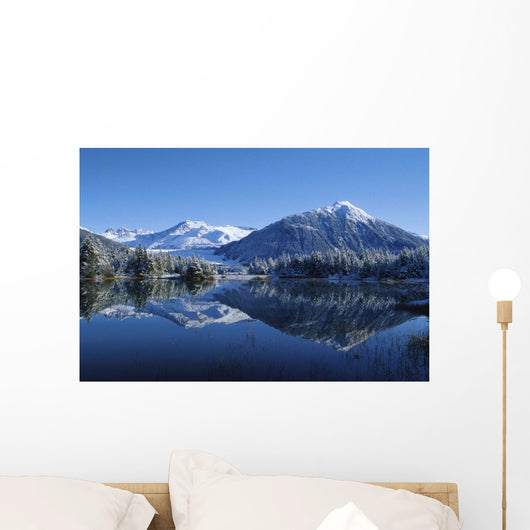 Dredge Lakes Mendenhall Valley Winter Southeast Alaska Wall Mural