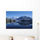 Dredge Lakes Mendenhall Valley Winter Southeast Alaska Wall Mural