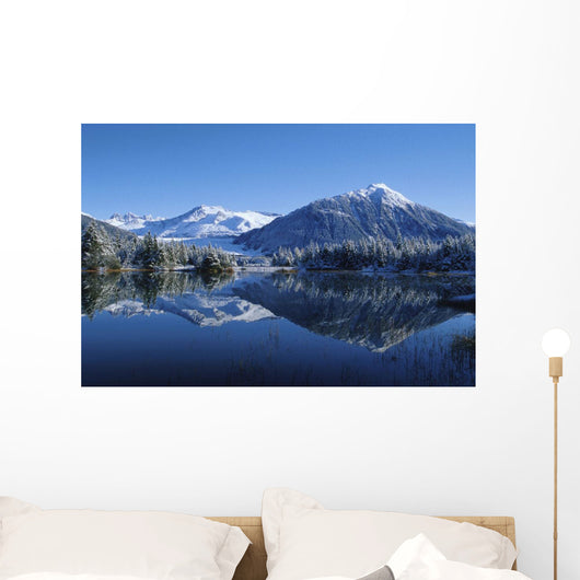 Dredge Lakes Mendenhall Valley Winter Southeast Alaska Wall Mural