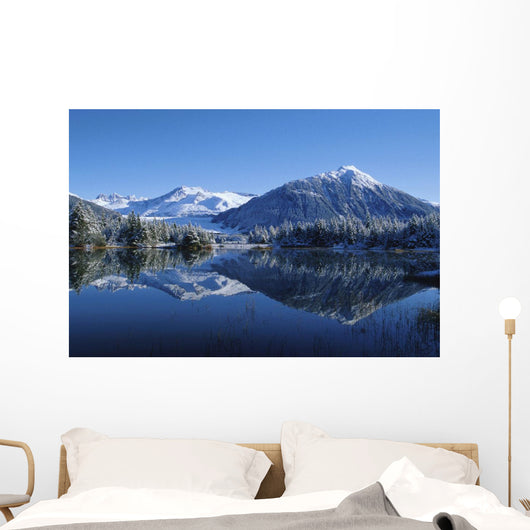 Dredge Lakes Mendenhall Valley Winter Southeast Alaska Wall Mural