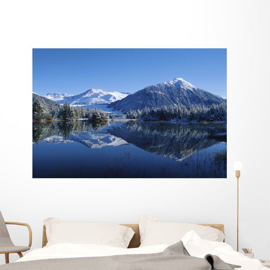 Dredge Lakes Mendenhall Valley Winter Southeast Alaska Wall Mural