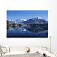 Dredge Lakes Mendenhall Valley Winter Southeast Alaska Wall Mural