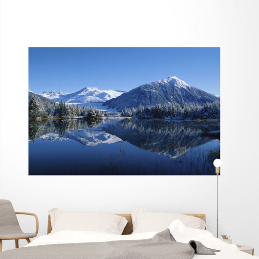 Dredge Lakes Mendenhall Valley Winter Southeast Alaska Wall Mural