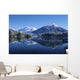 Dredge Lakes Mendenhall Valley Winter Southeast Alaska Wall Mural