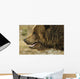 Profile Of Brown Bear Denali Np In Alaska Spring Wall Mural