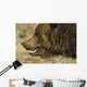 Profile Of Brown Bear Denali Np In Alaska Spring Wall Mural