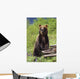 Brown Bear Standing Upright Wall Mural