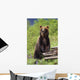 Brown Bear Standing Upright Wall Mural