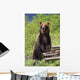 Brown Bear Standing Upright Wall Mural