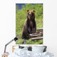 Brown Bear Standing Upright Wall Mural