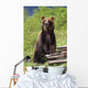 Brown Bear Standing Upright Wall Mural
