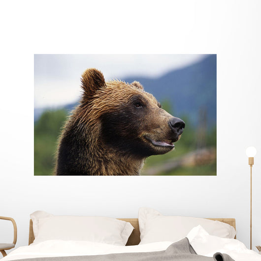 Closeup Of Brown Bears Head And Face Wall Mural
