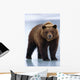Adolescent Brown Bear Standing Wall Mural
