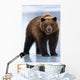 Adolescent Brown Bear Standing Wall Mural