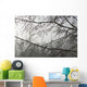 Alder Cones Dripping With Moisture Hang Off Branches Wall Mural