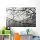 Alder Cones Dripping With Moisture Hang Off Branches Wall Mural