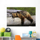 Captive Grizzly Lays On A Log Wall Mural