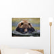 Captive Brown Bear Rests With It Front Legs Outstretched On A Log Wall Mural