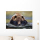 Captive Brown Bear Rests With It Front Legs Outstretched On A Log Wall Mural