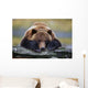 Captive Brown Bear Rests With It Front Legs Outstretched On A Log Wall Mural