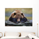 Captive Brown Bear Rests With It Front Legs Outstretched On A Log Wall Mural