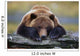 Captive Brown Bear Rests With It Front Legs Outstretched On A Log Wall Mural