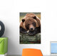 Captive Brown Bear Rests With It Front Legs Outstretched On A Log Wall Mural