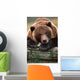 Captive Brown Bear Rests With It Front Legs Outstretched On A Log Wall Mural
