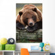 Captive Brown Bear Rests With It Front Legs Outstretched On A Log Wall Mural